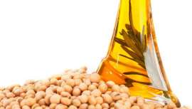 La soja ha sido uno de los descubrimientos de finales del siglo XX. Nutriente cuyos extractos se encuentran hoy día en numerosas fórmulas cosméticas, además de en compuestos nutricionales y farmacéuticos.