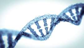 La ayuda de un genetista es clave para establecer las ventajas y limitaciones de un test genético y pueda ayudar en la interpretación de los resultados, algo fundamental para evitar riesgos para la salud