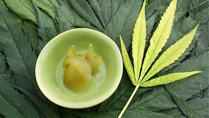 Cannabis, o novo superingrediente da beleza