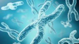 Considerados los biomarcadores del envejecimiento, potenciar la enzima telomerasa es una de las tendencias de la medicina estética de la nueva década