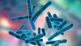 Organizado por SEMAL y SEMiPyP, para cuyos socios es gratuito, el curso se desarrollará en horario de mañana en Madrid