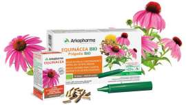 Esta planta medicinal aumenta la inmunidad y mantiene las defensas naturales del organismo