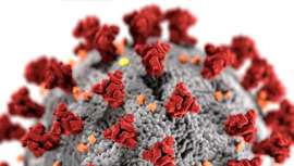 Iniciativa de la Sociedad Española de Medicina Interna que permitirá orientar a los profesionales sanitarios en la toma de decisiones sobre el manejo y tratamiento de pacientes Covid-19