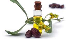 Un reciente estudio demuestra que el aceite de jojoba posee alto nivel de estabilidad oxidativa, cualidad que puede aportar a otros aceites, si se mezcla, actuando de una manera más que fiable y segura como ingrediente cosmético