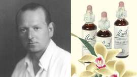 ¿Cómo influyen las emociones en la toma de decisiones? Las 38 Flores de Bach Originales armonizan dichas emociones y ayudan al bienestar y equilibrio de cada individuo