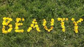 Dentro del Green Beauty Congress, Beauty Cluster pone en marcha este concurso, junto a Muttu Cosmetic Lab (Muttulab) a nivel nacional para facilitar el lanzamiento de una de las empresas del concurso en lo referido a cosmética indie