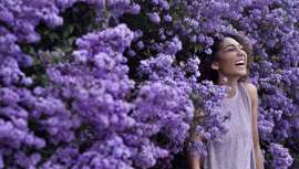 Los hábitos de lectura de contenido on-line de los españoles en el último mes, tanto durante el confinamiento como en las primeras semanas de desescalada crece un 48% y sitúa a la belleza en el primer puesto de búsquedas