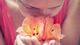 Debido a la situación mundial derivada de la pandemia del coronavirus, el Comité Organizador del II Barcelona Olfaction Congress ha decidido relanzar el evento como un congreso on-line