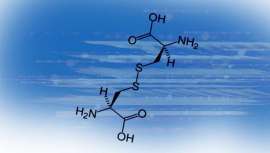De unos meses a esta parte no dejamos de conocer más y más lanzamientos de productos, líneas y tratamientos plex. Prometen una eficaz protección ante los trabajos técnicos más agresivos para el cabello.