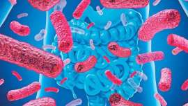 Miembros de la SEMAL, SEMiPyP y UEM tienen la oportunidad de inscribirse y participar de manera gratuita en la formación on-line Microbiota, probióticos y prebióticos en la salud, dos jornadas de análisis con los mejores especialistas 