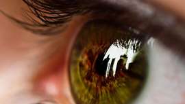 Según Clínica Baviera, usar gafas de sol, gotas lubricantes, instalar filtros de aire de alta calidad y una buena hidratación a través de la ingesta de líquidos, son algunos de los consejos para reducir los efectos de la polución en la salud visual