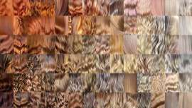 Rossano Ferreti, Embajador Global, reta a la comunidad de estilistas a crear la primera colección 100% on-line de la internacionalmente reconocida Wella Professionals 