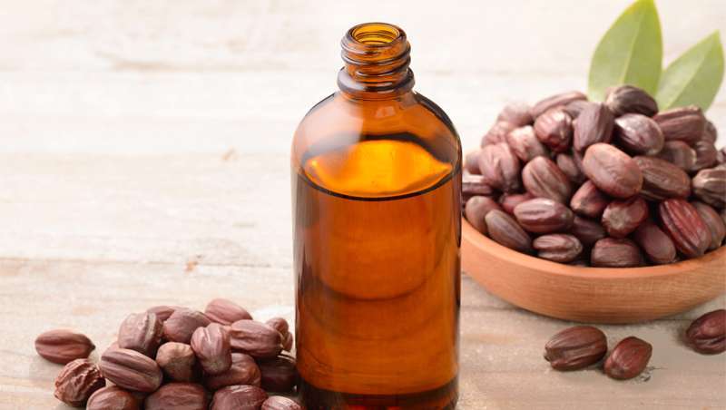 10 dados que podes no conhecer do leo de jojoba