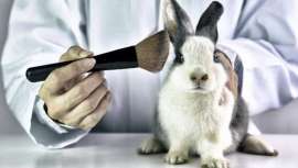 El mundo al revés, o más bien China, quien impide importar productos cosméticos a aquel país sin realizar pruebas en animales. Cruelty Free International instala un programa piloto para revertir la situación