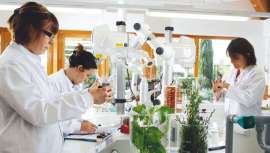 Se trata de segundo plan de propiedad de acciones lanzado por la compañía de belleza francesa, para sus empleados, el cual abarca un total de 57 países