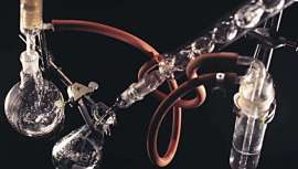 Por primera vez, científicos americanos tienen pruebas de que los químicos pueden interferir en el desarrollo de los fetos masculinos