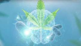 Vytrus Biotech es doble finalista al Mejor Ingrediente del mundo 2020 en los premios In-cosmetics Global