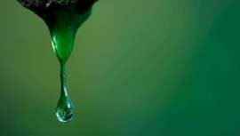 Elegido alimento del año por los españoles, en concreto el aceite de oliva virgen de Andalucía, este oro líquido no deja de sumar cualidades y beneficios 