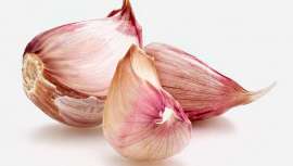 Concentrado en uno solo de sus gajos