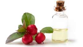 Givaudan Active Beauty ha desarrollado así Neosaltil, un ácido salicílico 100% puro, obtenido a partir de hojas Wintergreen cosechadas en China, que aporta todos sus beneficios a la piel y el cuero cabelludo