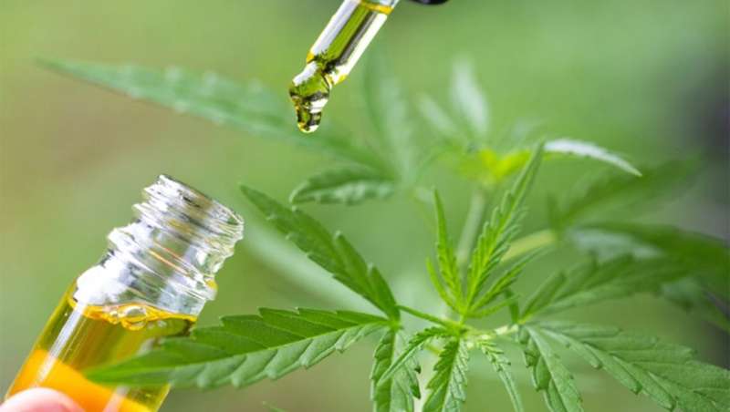 CBD, el uso de cannabis no ha hecho más que empezar en la industria cosmética