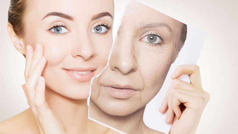 Un antioxidante común, clave contra el envejecimiento de la piel