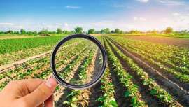 La CE lanza plan para prohibir tóxicos peligrosos en todas las áreas y mercados, para un mundo libre de ellos. Los disruptores endocrinos de cosméticos, entre otros, prohibidos