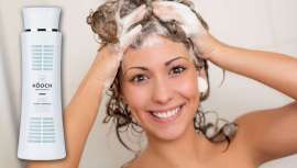 La firma de cosmética vegana Kóoch Green Cosmetics lo elige para formar parte de la fórmula de su champú. Además de otros ingredientes ecológicos como el aloe vera, la proteína de trigo y el extracto de cola de caballo