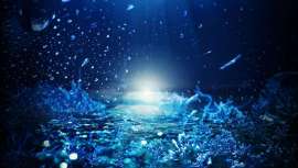 Givaudan Active Beauty presenta el nuevo ingrediente marino B-Lightyl, el primer borrador universal de manchas que actúa de forma preventiva y curativa 