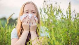 Un estudio de la Agencia de la Seguridad en la Salud en Francia (ANSES) informa acerca del coste de la alergia a la ambrosía que prolifera en el territorio, lo que se une a los efectos de la pandemia en una factura millonaria