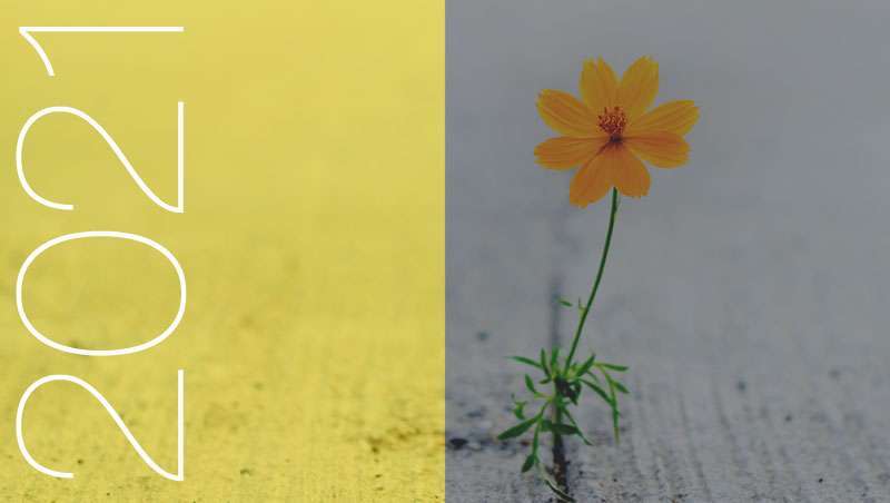 Explosivo e invencvel, o duo do ano