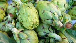 Las hojas de alcachofa son conocidas por sus propiedades medicinales. Muy efectivas en preparados farmacéuticos 