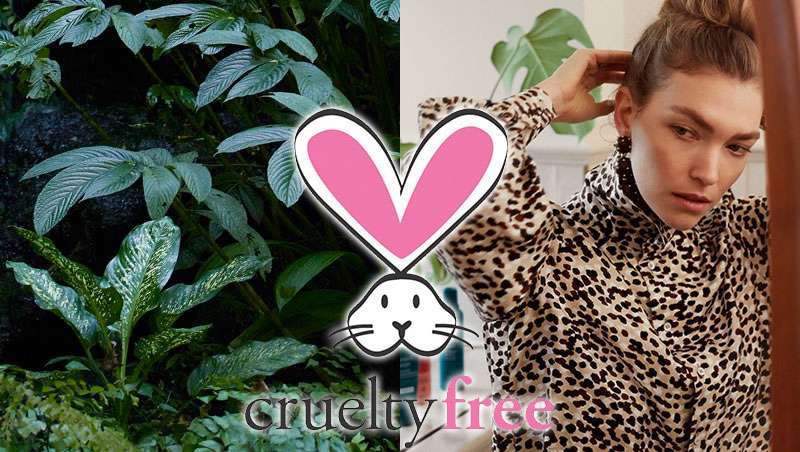 Aveda reformula os seus produtos para alcançar o facto de ser uma marca 100% vegana