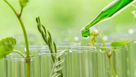 ¿Qué es la química verde y por qué deberían seguir sus principios sin excepción todas las firmas cosméticas?