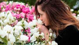 ¡Sí! Has leído bien. Se trata de un puñado de actividades, experiencias de bienestar, que te ayudarán a encontrarte mucho mejor en todos los sentidos, literalmente