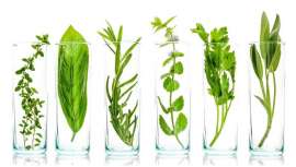 La UCM de Madrid y Arkopharma ponen en marcha un ensayo clínico sobre los suplementos vitamínicos de origen natural, que podrían proporcionar un importante impacto en el metaboloma humano