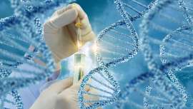 Con un reto por delante considerable, la UE fija su atención junto a la ECHA, Agencia Europea de Sustancias y Mezclas Químicas, en los químicos potencialmente tóxicos, además de hablar de estilo saludable y prevención, entre otras consideraciones