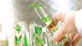 Arkopharma Laboratorios se decide por los principios de la galénica verde para la elaboración y fabricación de sus productos farmacéuticos de origen 100% natural, siguiendo el principio de la galénica verde