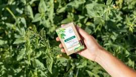 La marca farmacéutica está comprometida con el medio ambiente a través de la Klorane Botanical Foundation, la fundación de empresa para la protección y valorización del patrimonio vegetal