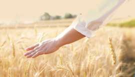 Provital promueve la sostenibilidad del planeta y facilita los activos y normas para liderar la transformación de la industria cosmética