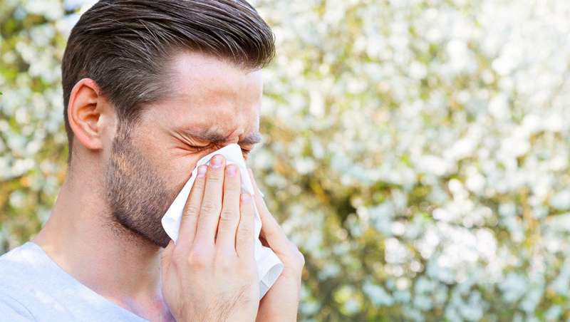Combate la astenia primaveral y las alergias