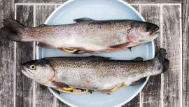 Este pescado tan presente en nuestros ríos es muy recomendado por dermatólogos como Nicholas Perricone, ya que su alto contenido en ácidos grasos esenciales, DMAE y antioxidantes mejora el aspecto de nuestra piel