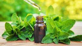 Porque su olor trasciende, empata y eleva el espíritu, el cuerpo y la mente, aparte de mil cosas más... El aceite esencial de menta es uno de los bienes más preciados de la salud y la belleza 