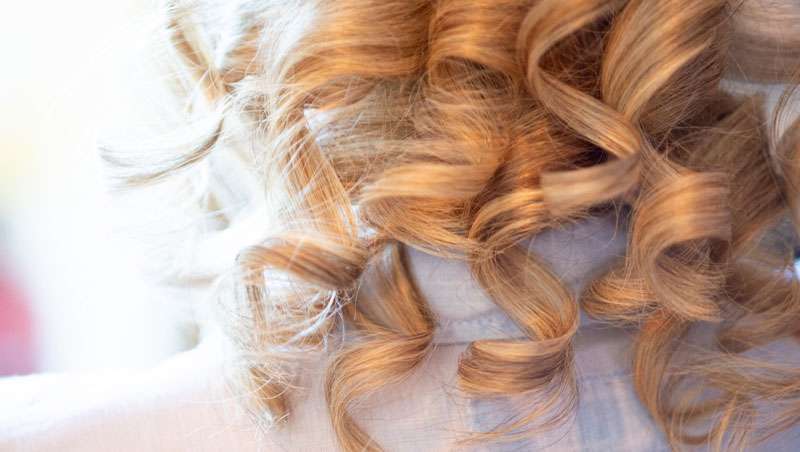 O que um caracol esconde