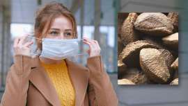 Nuevo ingrediente eco y ético cosmético, proveniente de la nuez de Brasil, que demuestra su poderosa acción en favor de la función barrera de la piel para hombres y mujeres, entre otra destacada lista de propiedades