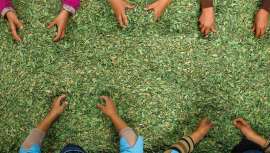 Pierre Fabre quiere hacer sus productos más transparentes y crea Green Impact Index, su propia herramienta de evaluación que mide el  impacto ambiental y social en el proceso de fabricación y lanzamiento de sus productos cosméticos 