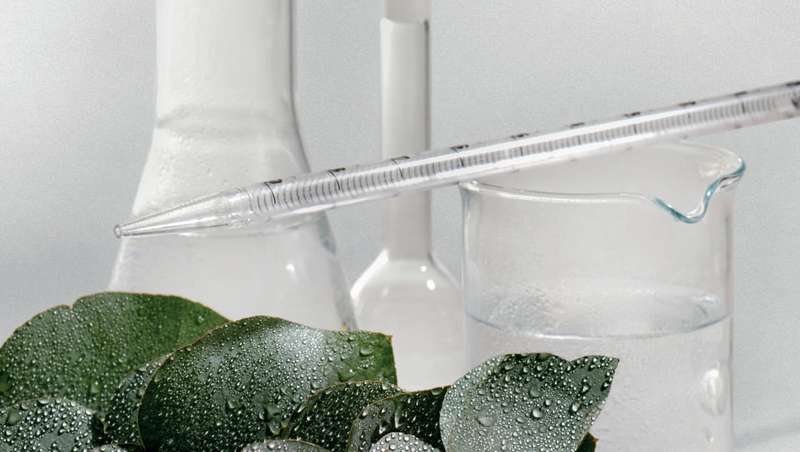 L'Oral Paris reduz  metade da sua pegada de carbono