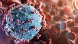 Un nuevo estudio Registro SEMI-COVID revela que la tasa reingreso hospitalario en COVID19 es baja y analiza causas de reingreso, asociado mayormente a la edad y las comorbilidades (especialmente asma y EPOC)