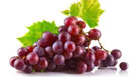 Presentado en forma de complemento nutricional, se le considera un antibiótico natural que aborda un gran campo de acción de salud y belleza 