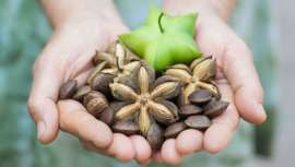 Tras este exótico nombre se encuentra uno de los principios activos más eficaces para la nutrición y el cuidado de pieles deshidratadas o sensibles, y el de cabellos resecos o con encrespamiento